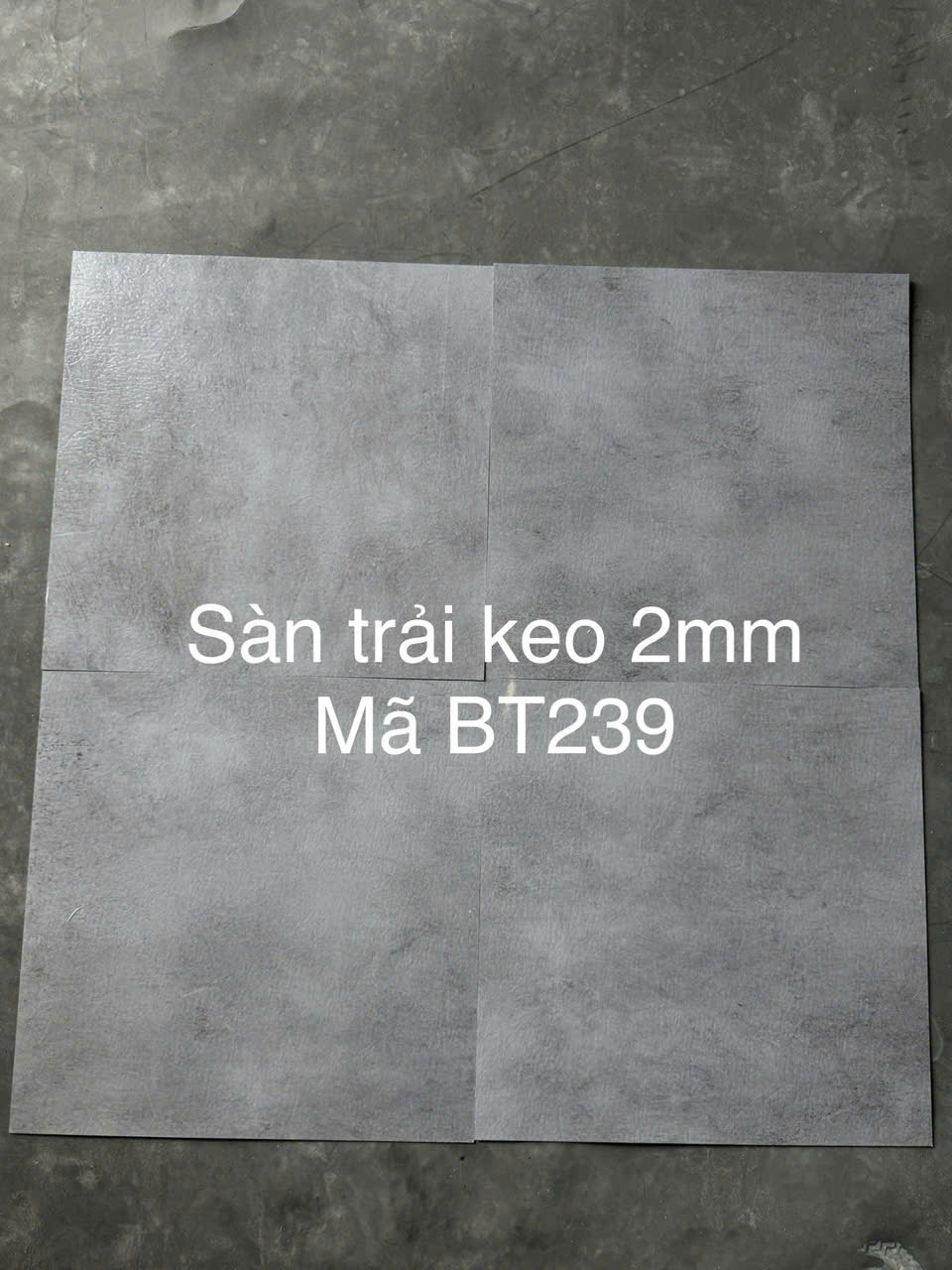 Sàn nhựa trải keo 2mm vân bê tông mã BT 239